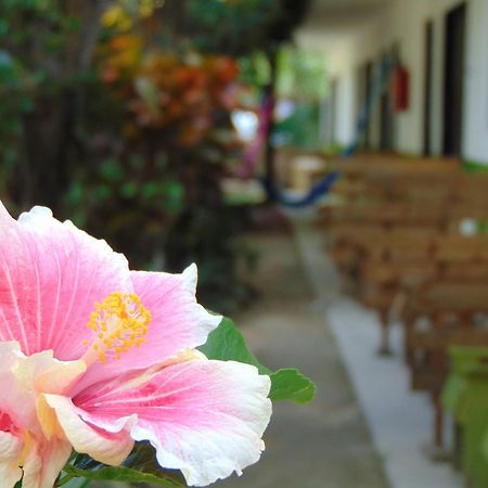 Bed and Breakfast Crucero Тулум Экстерьер фото